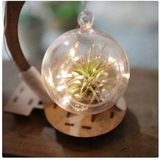 이오난사 LED 그네볼 SCT-226