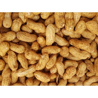 [50박스한정특가] 25년첫땅콩 피땅콩 햇땅콩, 1kg, 1박스