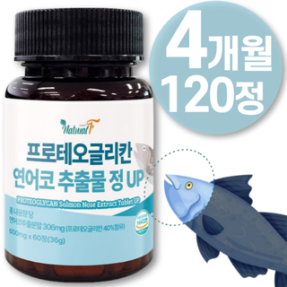 프로테오글리칸 연어 소 코 연골 식약청 HACCP 인증 관 2형 저분자 효능 연어 절 건 콜라겐 강 추출물 필름 콘드로이친 100% 기능 프로테오글리칸 영양제 약 up 식품 정, 2개, 60정