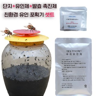 파리포충기