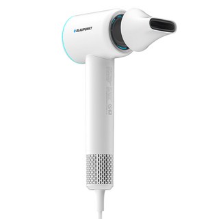 2. 블라우풍트 BL..