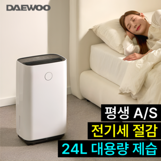대우 루미텍 가정용 제습기