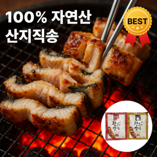 하늘밥상 보양한끼 초간편 손질 바다 장어 + 소스2종, 1kg (2~3미), 1세트