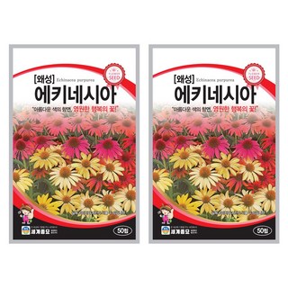 왜성 에키네시아 50립 일년생 다년생 꽃씨앗 종자, 2개