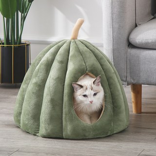 1. 고양이 집 극세..