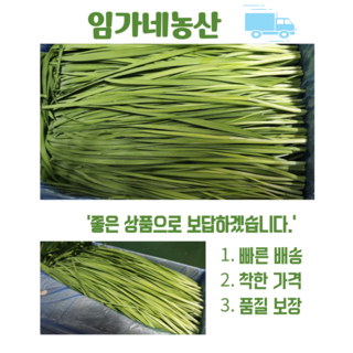 [임가네농산] 부추 국내산 부추 부추박스 부추요리, 4kg, 1개
