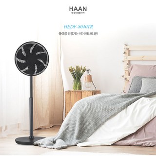 2. HAAN 인공지..