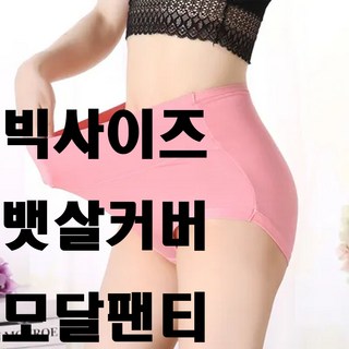 수아랩스 임산부 빅사이즈 모달팬티 90~115 size