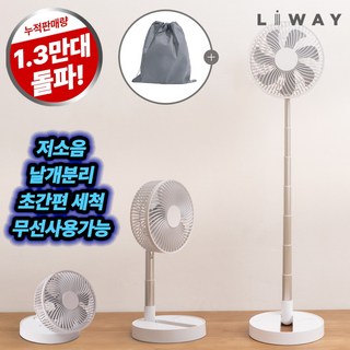 리웨이 무선 접이식 선풍기 휴대용 폴딩팬, 리웨이 접이식선풍기