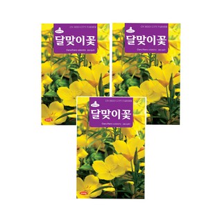 달맞이꽃 씨앗 4000립 (3개 세트) – 다양한 채소 씨앗 포함 달맞이꽃뿌리 달맞이꽃 씨앗 4000립 (3개 세트) – 다양한 채소 씨앗 포함 달맞이꽃뿌리
