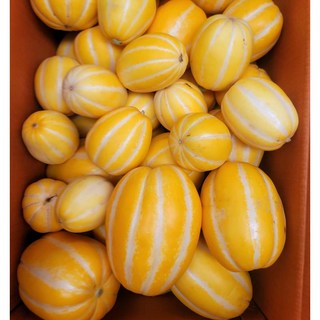 성주 꿀 참외 산지직송 당도선별 가정용, 5kg (가정용 랜덤과), 1개