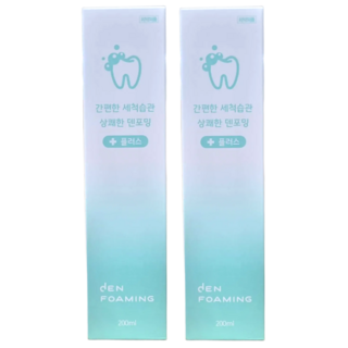 교정기 유지장치 틀니세정제 폼타입 덴포밍 의치세정제, 200ml, 2개