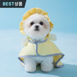 바우앤코 강아지우비 비옷 판초 망토 소형견 중형견, 1개, 옐로우