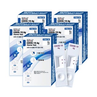 젠바디 코로나19항원 자가 검사 키트, 2개, 2개입
