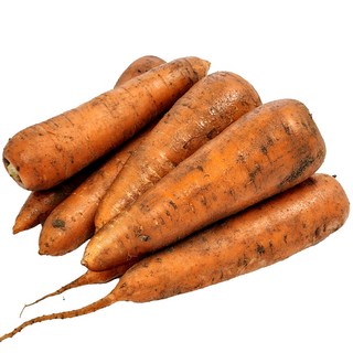 달큰 아삭 제주 구좌 당근