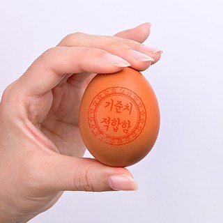 무항생제신선계란 당일생산당일출고 초신선 초란 HACCP 60구 청라골드계란, 3개, 30구
