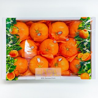마이팜 프리미엄 제주 선물용 가정용 레드향, 1개, 3kg (선물용9-11과)