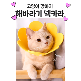 고양이 강아지 해바라기 넥카라 팰트 가벼운 불편함 없는 모양 자유자재, 1개, 핑크