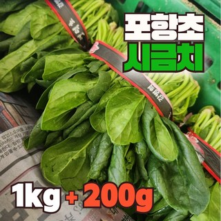 해풍 맞은 청정 남해 노지 시금치, 1박스, 1kg