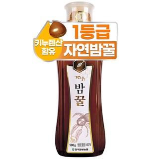 한국양봉농협 밤꿀, 1개, 500g