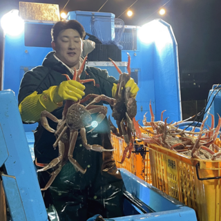 킹콩농수산 활 박달대게 러시아 특A급 수율90%이상 1~5kg내외, 1개, 5kg 내외 (자숙)
