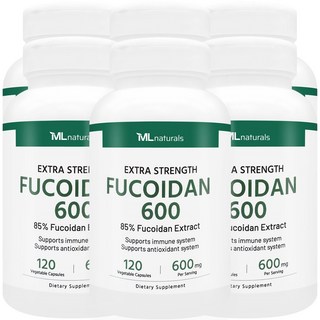 [미국빠른직구] 신제품 마이라이프 내추럴스 후코이단 600mg, 120정, 6개