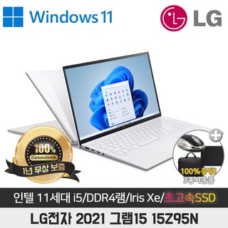 LG그램 2021 15Z95N