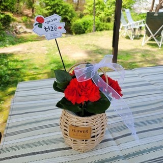 로즈센트 카네이션꽃바구니