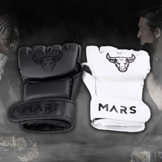 2. 마르스 UFC ..