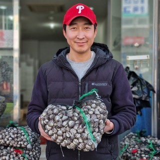 벌교 신선도/가성비 최상 새꼬막 참꼬막, 1박스, 당일수확 최상급 새꼬막 3kg