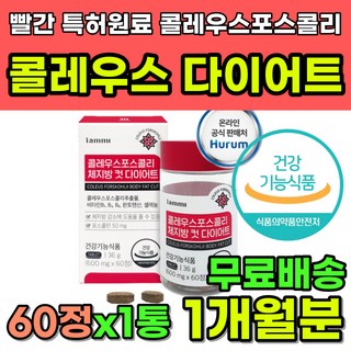 서현빨간통 내돈내산 다이어트 콜레우스