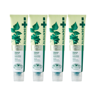 덴티스테 마일드 치약, 200g, 4개