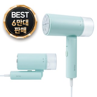 풀라스 폴더블 핸디형 스팀 다리미, FL-IR1000, 민트