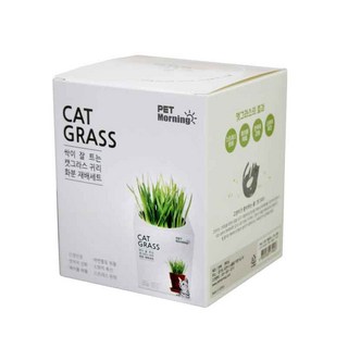 펫모닝 캣글라스 화분재배세트 pmc295, 1개