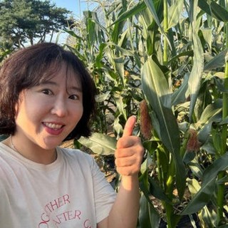[100%국내산] 강원도 홍천 찰옥수수 직접농사짓는농가 쫀득한 명품 미백 냉동 삶은 찐, 16개, 15cm~21cm찐냉동삶은감미료/첨가