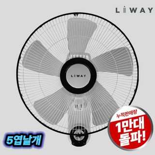 리웨이 데일리 벽걸이 선풍기