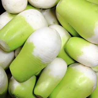 최고급원조품종 끝판왕 명품 제주 월동무, 1박스, 옵션1-1kg소과