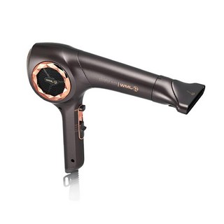 JMW BLDC 고성능 터보 프리미어 드라이기 TR6100A / TJ