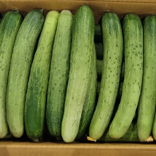 국내산 경매 햇오이 못난이 백다다기 백오이 오이지용 오이장아찌, 1박스, 백다다기 2kg