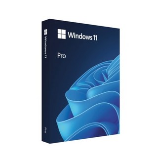 Windows 11 Pro 처음사용자용 패키지