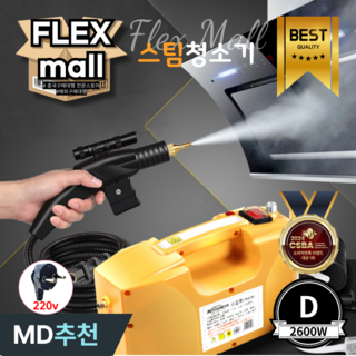 플렉스몰 핸드 스팀 청소기