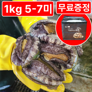 [활전복 산지직송] 완도 직거래 전복선물세트 왕특대, 1개, 프리미엄(5-7미) 1kg