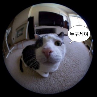 스마트폰 피쉬아이렌즈