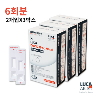 루카에이아이셀 코로나19 자가검사키트, 2개입, 3개