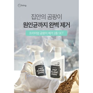 [1+1] 에코후레쉬 곰팡이제거제 500ml 뿌리는향균제 화장실 베란다 벽지, 2개