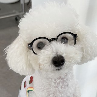 오로이 강아지 패션 뿔테안경+안경케이스, 1개, 블랙