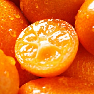 제주 17brix 고당도 최고급특수품종 명품 금귤, 1세트, 옵션1-500g내외 대과