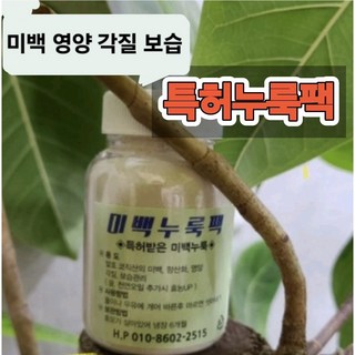 누룩가루