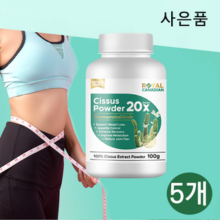 로얄 캐네디언 20배 농축 시서스 차 분말 가루 파우더 100g 2개이상 구매시 자미에슨 프로바이오틱 사은품, 5개