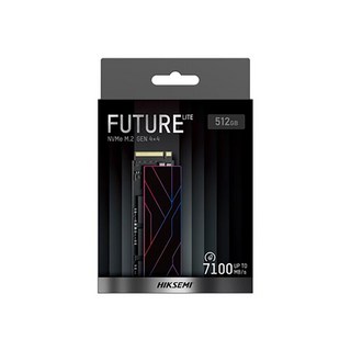 HIKSEMI FUTURE Lite M.2 NVMe (512GB)